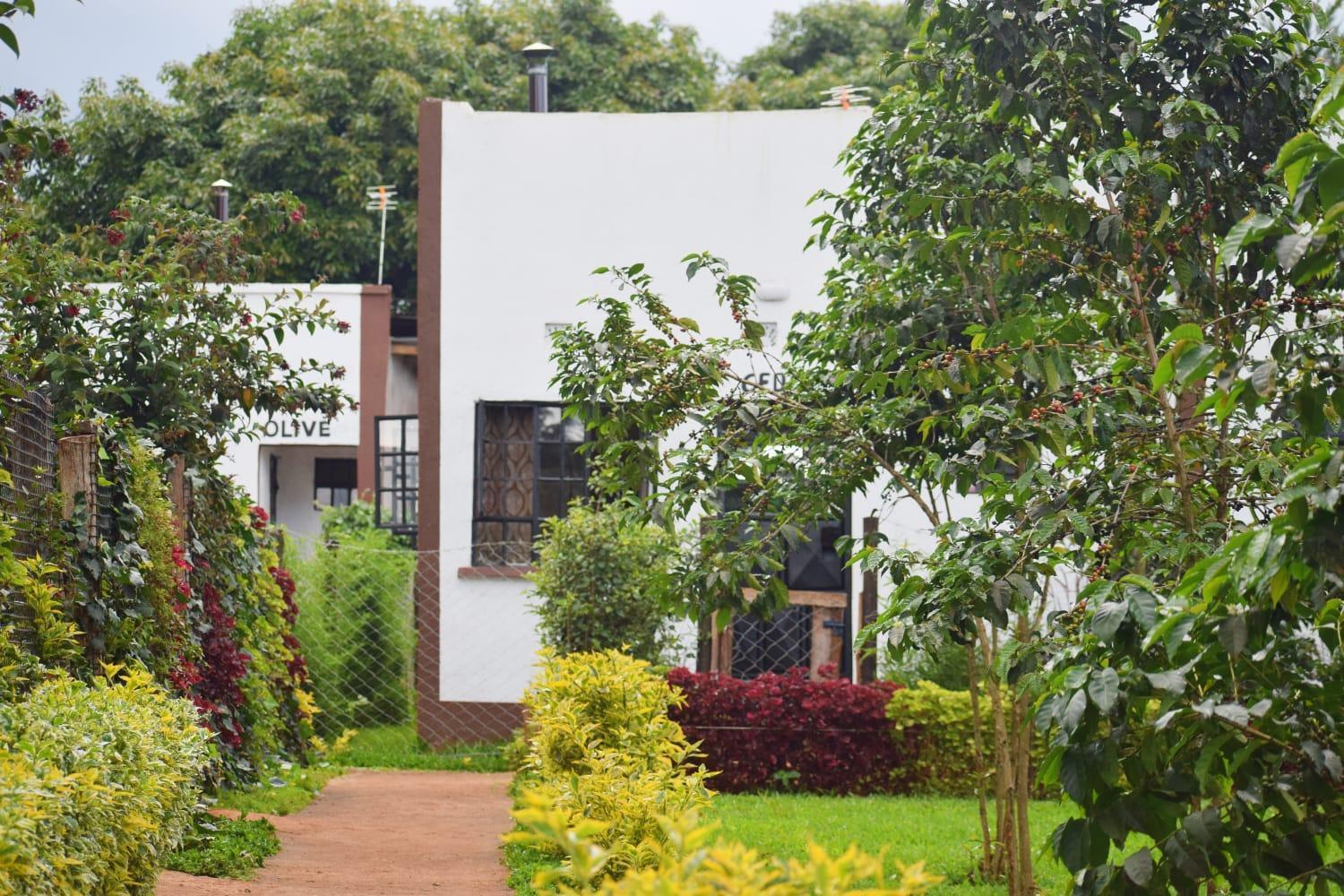 The Plantains Place Karatina Exterior foto